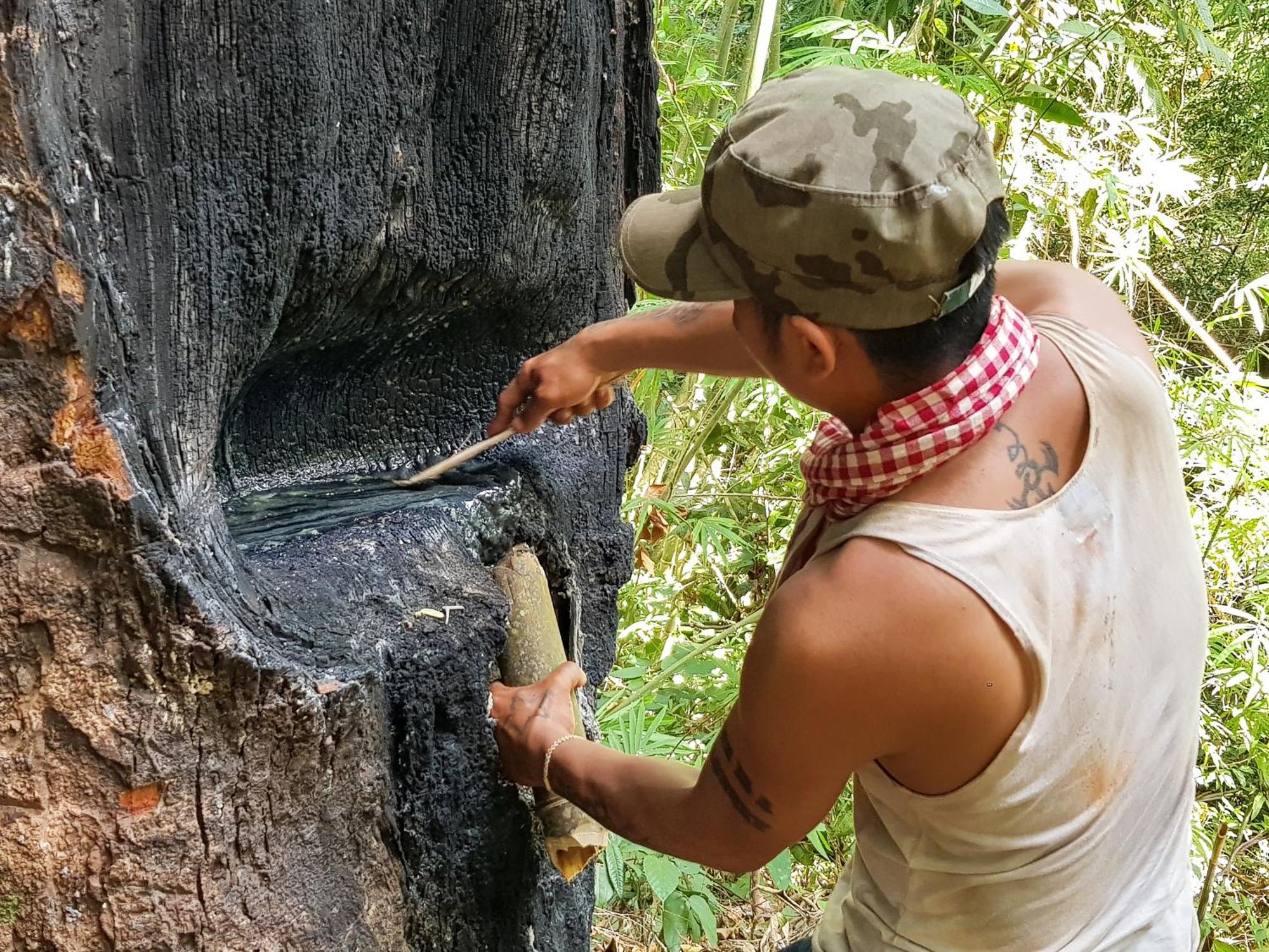 Ratanakiri Homestay & Jungle Trek รัตนคีรี ภายนอก รูปภาพ