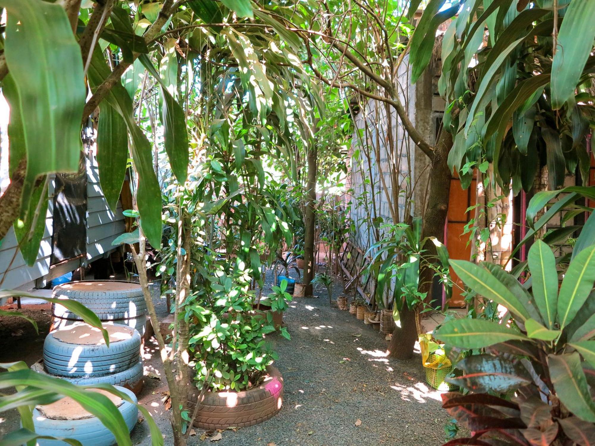 Ratanakiri Homestay & Jungle Trek รัตนคีรี ภายนอก รูปภาพ