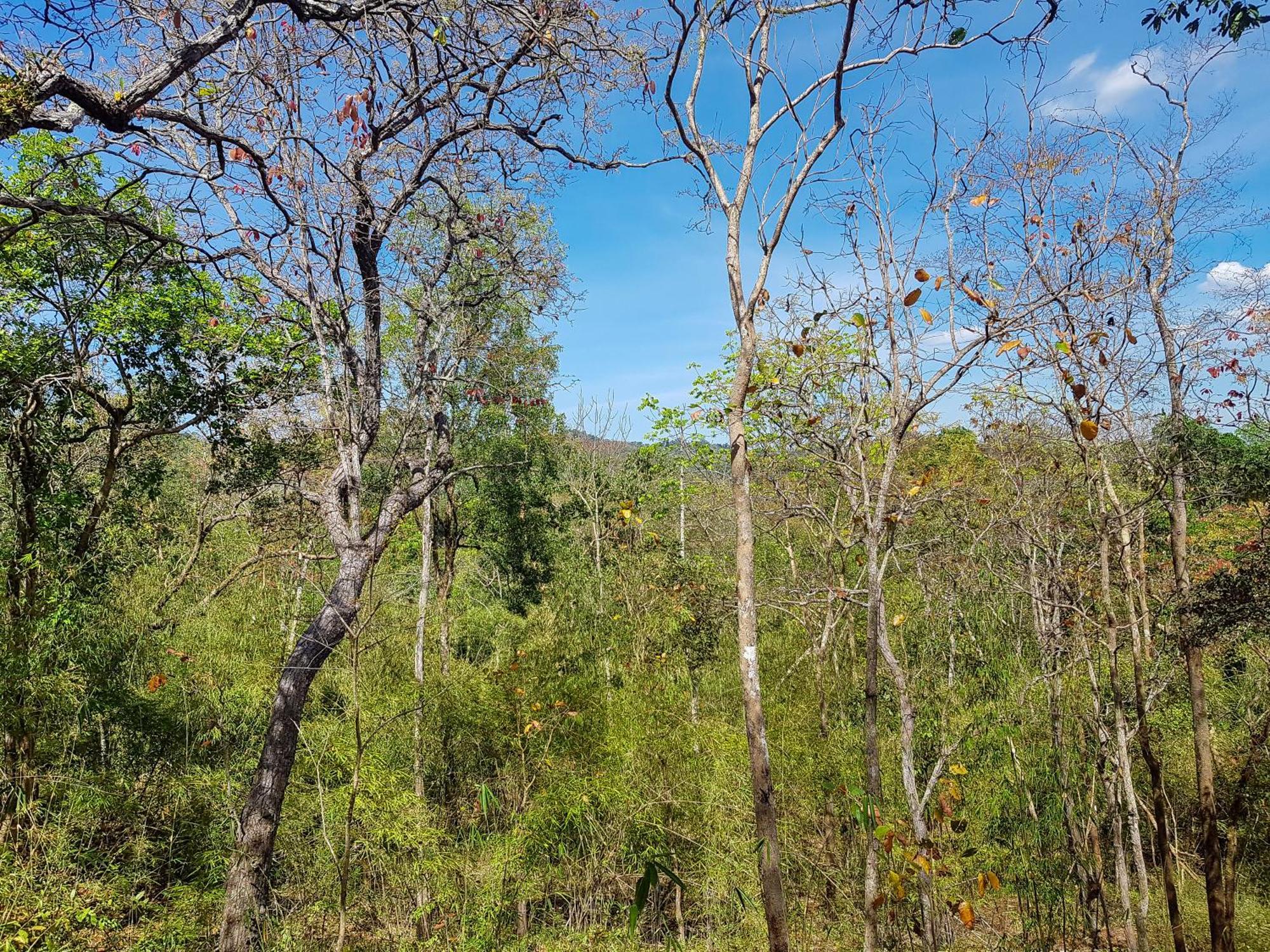 Ratanakiri Homestay & Jungle Trek รัตนคีรี ภายนอก รูปภาพ